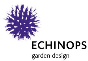 Echinops_Garden_Design