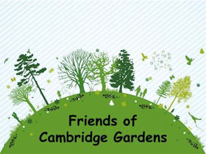 Friends_of_Cambridge_Gardens